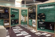 Panneaux en forex montés dans ces cadres en bois pliables pour le transport